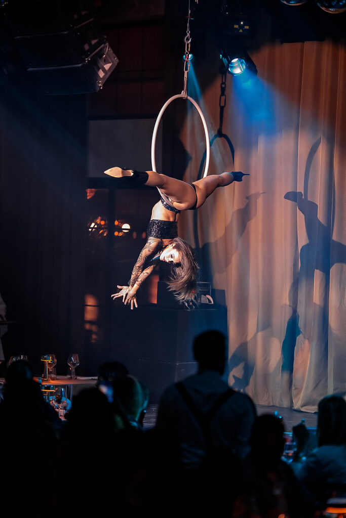 sanja obradinovic aerial hoop