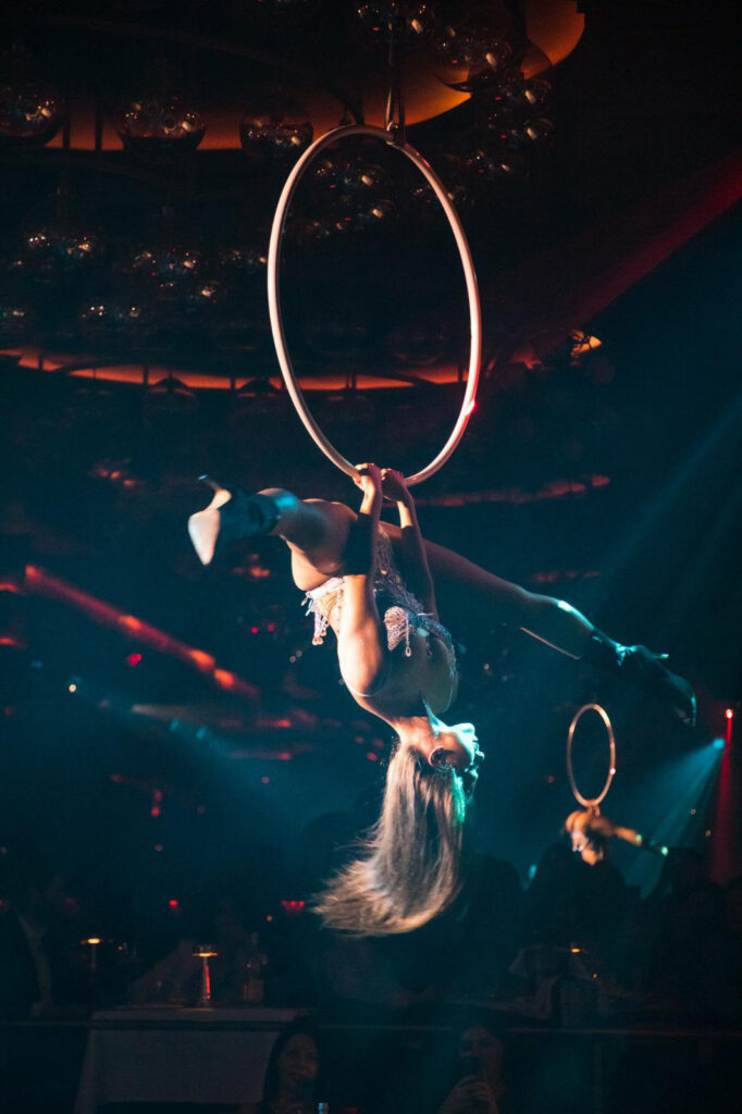 sanja obradinovic aerial hoop